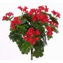 Fake geranium BERENIKE on spike, crossdoor, red, 16"/40cm, Ø2"-3.1"/5-8cm
