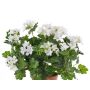 Fake geranium BERENIKE on spike, crossdoor, white, 16"/40cm, Ø2"-3.1"/5-8cm
