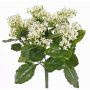 Silk kalanchoe LORRE on spike, crossdoor, white, 14"/35cm, Ø12"/30cm