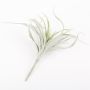 Silk tillandsia stricta ADELE on spike, green-grey, 10"/25cm, Ø8"/20cm