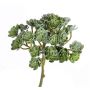 Fake echeveria BLAIR on spike, green, 8"/20cm, Ø4"/10cm