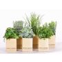 Fake herb mix CHUCK in paper pot, 6 pcs, green, 5.9"-10"/15-25cm