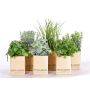 Fake herb mix CHUCK in paper pot, 6 pcs, green, 6"-10"/15-25cm
