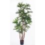 Fake rhapis GARRET, crossdoor, 5ft/160cm