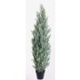 Fake cypress GEROME, green-grey, 5ft/150cm