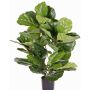 Artificial ficus lyrata RHYS, crossdoor, green, 28"/70cm