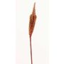 Silk bulbinella TALUNA, brown-red, 26"/65cm, Ø1.6"/4cm