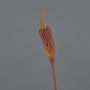 Silk bulbinella TALUNA, brown-orange, 26"/65cm, Ø2.4"/6cm