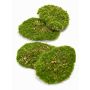 Artificial decoration moss pieces HEFEI, 4 pieces, green, 4.3"x6"x2"/11x15x5cm