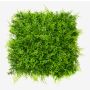 Artificial maidenhair fern mat / hedge PIETER, crossdoor, green, 20"x20"/50x50cm