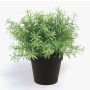 Plastic Rosemary YANIS, green, 8"/20cm