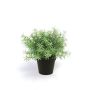 Plastic Rosemary YANIS, green, 8"/20cm