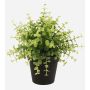 Plastic eucalyptus YANIS, green, 8"/20cm