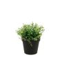 Plastic eucalyptus YANIS, green, 8"/20cm