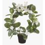 Artificial waxflower ALTAY, white, 16"/40cm