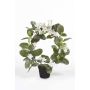 Artificial waxflower ALTAY, white, 16"/40cm
