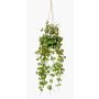 Artificial hanging basket with ceropegia BOLTEN, green, 20"/50cm