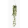 Artificial hanging basket with rhipsalis BOLTEN, green, 31"/80cm