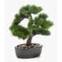Plastic bonsai pine GALDOS in planter, 12"/30cm