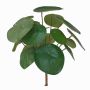 Artificial Chinese money plant SYBIL on spike, green, 8"/20cm