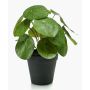 Artificial Chinese money plant SYBIL, green, 8"/20cm