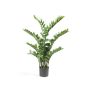 Artificial plant Zamioculcas SIMANO, 4ft/110cm