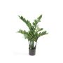 Artificial plant Zamioculcas SIMANO, 28"/70cm