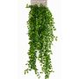 Artificial climbing fig BASQUIAT on spike, 31"/80cm
