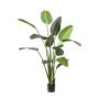 Artificial plant Strelitzia PAVLOVA, green, 6ft/190cm
