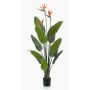 Artificial strelitzia TAPIES, orange-violet, 4ft/120cm