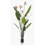 Artificial strelitzia TAPIES, orange-violet, 5ft/150cm