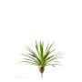 Plastic agave EUSTACHIO on spike, green, 22"/55cm