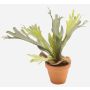Artificial staghorn fern BAROJA in terracotta pot, green, 20"/50cm