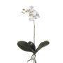 Artificial Phalaenopsis orchid FAO on spike, white, 18"/45cm