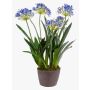 Artificial agapanthus NASH, blue, 30"/75cm