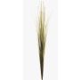 Artificial foxtail grass ZAIRA on spike, green, 3ft/90cm