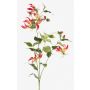 Artificial flower flame lily CELESTE, pink yellow, 4ft/120cm