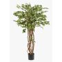 Plastic Ficus Benjamina CARLOH, real stems, green, 5ft/140cm