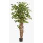 Plastic Ficus Benjamina CARLOH, real stems, green, 6ft/170cm