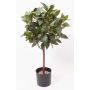 Artificial laurel ball DRODY, real stem, fruits, 24"/60cm