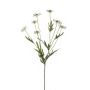 Artificial flower daisy LASAI, cream, 30"/75cm