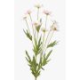 Artificial flower daisy LASAI, light pink, 30"/75cm