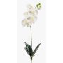 Artificial Phalaenopsis orchid ISIS, spike, white, 24"/60cm