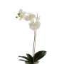 Artificial Phalaenopsis orchid ISIS, spike, white, 24"/60cm