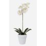 Artificial Phalaenopsis orchid ISIS, ceramic pot, white, 22"/55cm