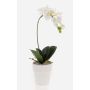 Artificial Phalaenopsis orchid ISIS, ceramic pot, white, 16"/40cm