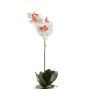 Artificial Phalaenopsis orchid ISIS, spike, white-light pink, 16"/40cm