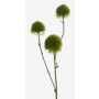 Artificial eryngium BRANCO, green, 24"/60cm