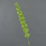 Artificial shellflower SIERA, green, 31"/80cm