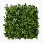 Artificial ivy and boxwood hedge / mat DAOIZ, crossdoor, 20"x20"/50x50cm